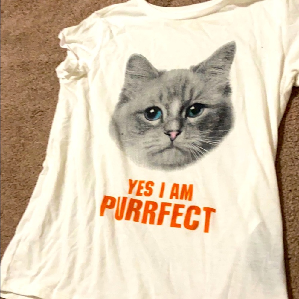Cat shirt
